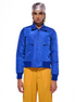 Blue Sky Bomber